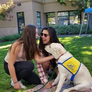 Meet your Posher, Rachel